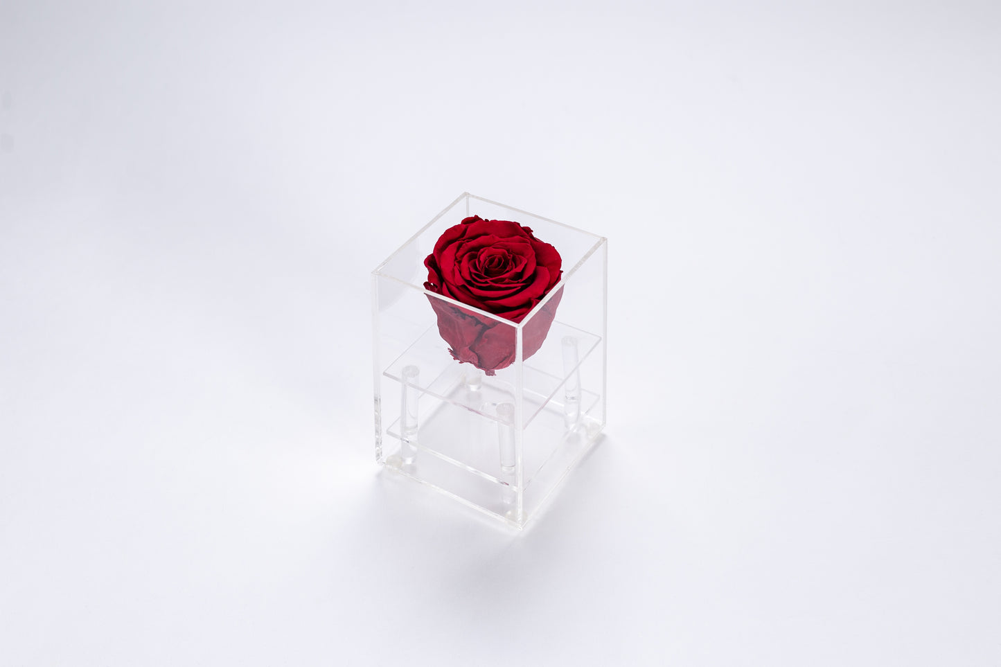 Eternal Rose Box