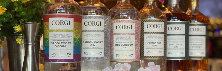 Corgi Spirits