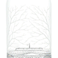 Belvedere Vodka