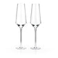 Angled Crystal Champagne Flutes