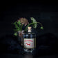 Fylleangst Aquavit